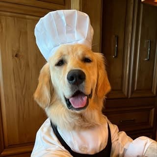 Chef Badger