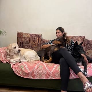 Romi Datta