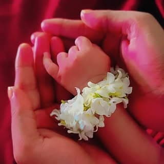 Danish ki Dulhaniya