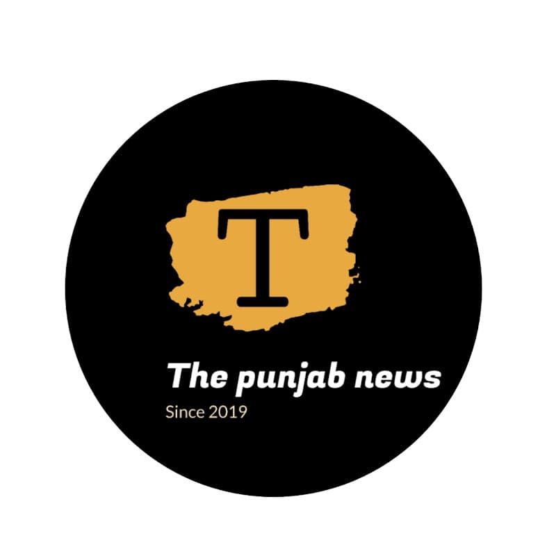The Punjab News