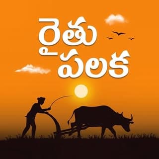 Kagitham Shiva Raj