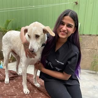 Dr. Vibha Tomar