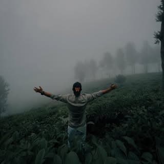 محمّد ٱنيس