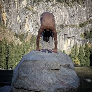 Yogi Ganesh