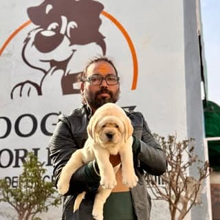 Anil Sodai