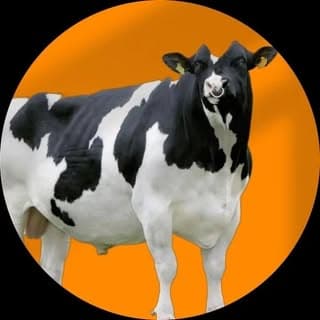 ❣︎ न्यु शेतकरी ब्रँड 100𝐤❣︎