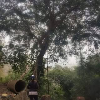 NurtureNatureMizoram