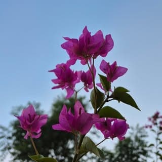 Telugu best articles