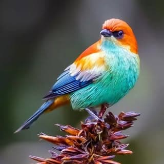 ਮਖ਼ਸੂਸ ਸੁਨੇਹੇ