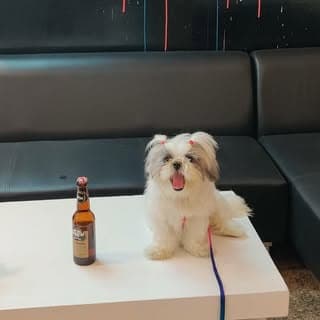 Pepper