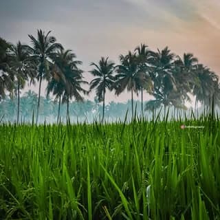 Amalapuram || Konaseema ๐ด๐ธ๐ฅ