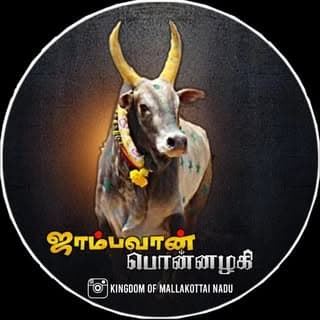 மஞ்சுவிரட்டு ஜாம்பவான் பொன்னழகி அம்மன்🔱🌏