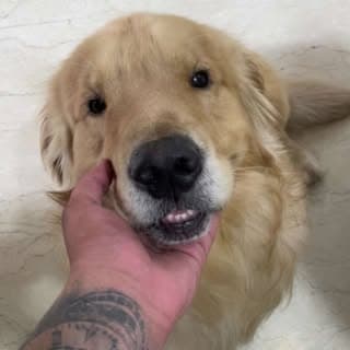 FIDO