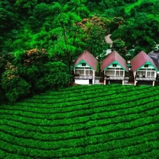 best_keralaresorts®️