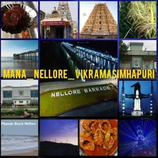 SPSR NELLORE DISTRICT📍