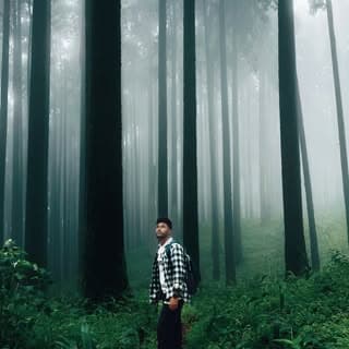 Muktar alam
