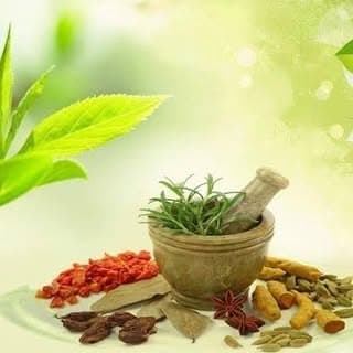 Ayurveda Secrets