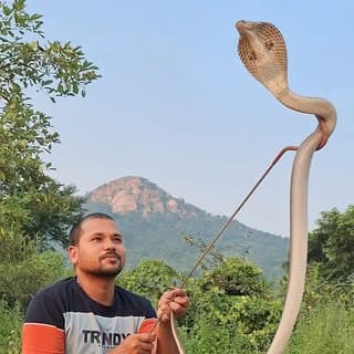 Dharmendra Singh