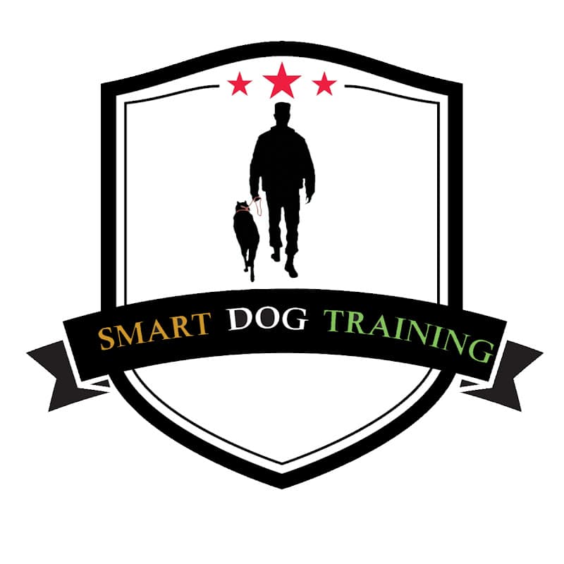 SMART DOG TRAINING