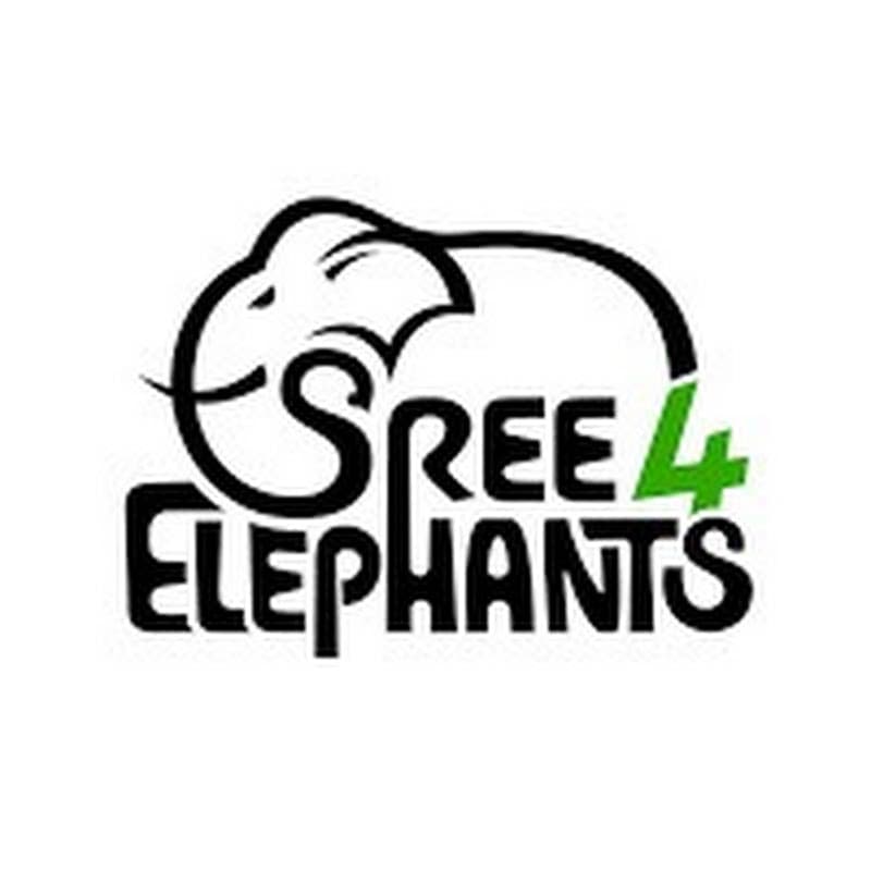 Sree 4 Elephants