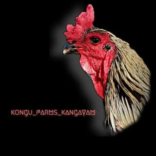 🦁Kongu Farms🐓