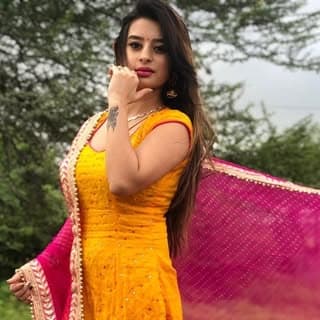 Punjabi Starcast