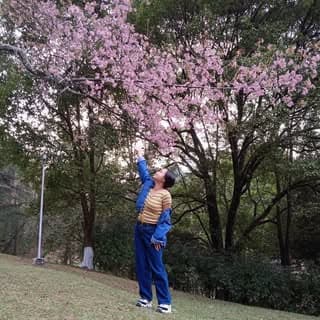 ranikamawlong