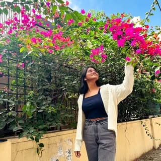 disha