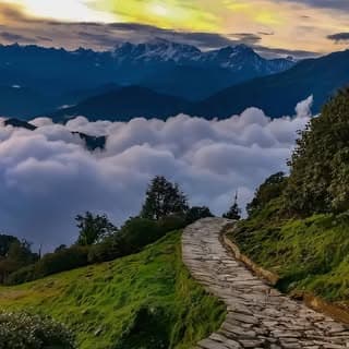 Chopta Official | Chopta