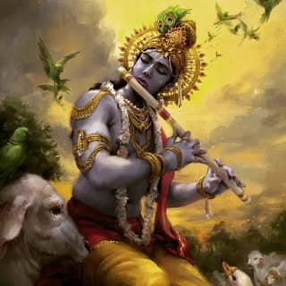 Yaduvanshi Universes
