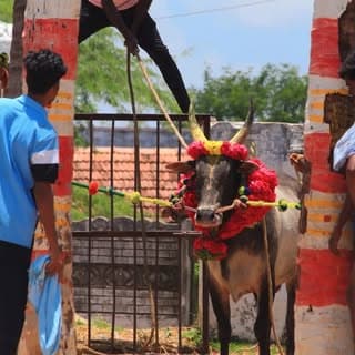 ?புதுக்கோட்டைகாரன்?