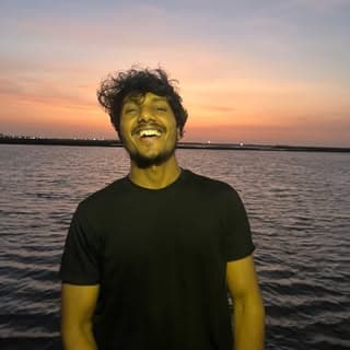 Ronak Bhabhor