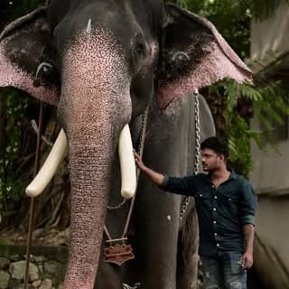 Jithuthechikodan🇮🇳