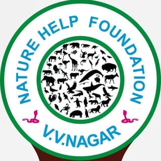 NHFVVN9601596940