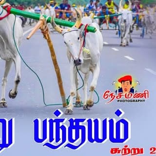panthaiyam