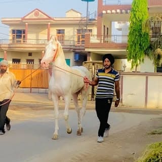 Farm.house.pb11 ਪਟਿਆਲਾ