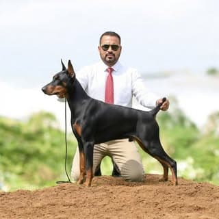Raj Jadhav