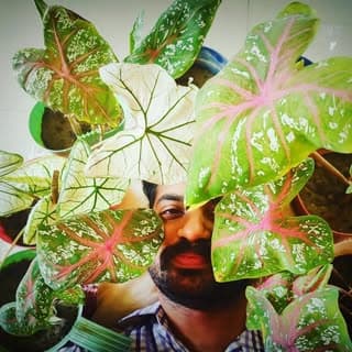 Anuranjan Saxena