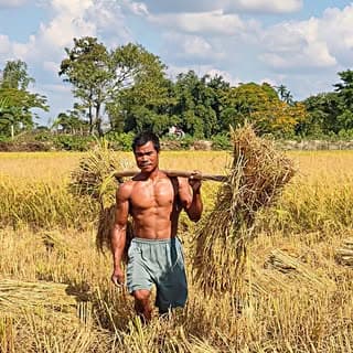 Desi Dhanen77 official