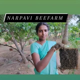 thenikal ulagam
