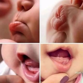 Baby Reels