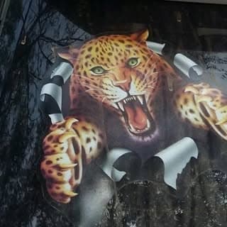 VIKASHGIRIDAGRAI‼️