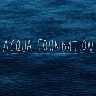🌍💧Acqua Foundation