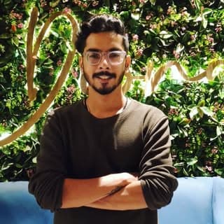 Mohit Mathur - The Hooman