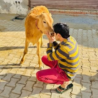 Jaat King