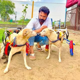 Voice of Stray Animals Hapur