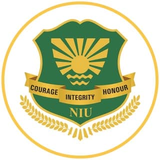 Noida International University