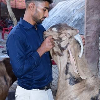 Aijaj Solanki