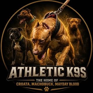 athletic k9's