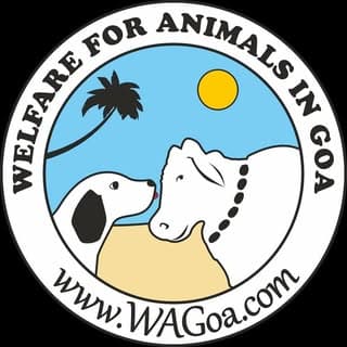 Welfare for Animals In Goa : WAG